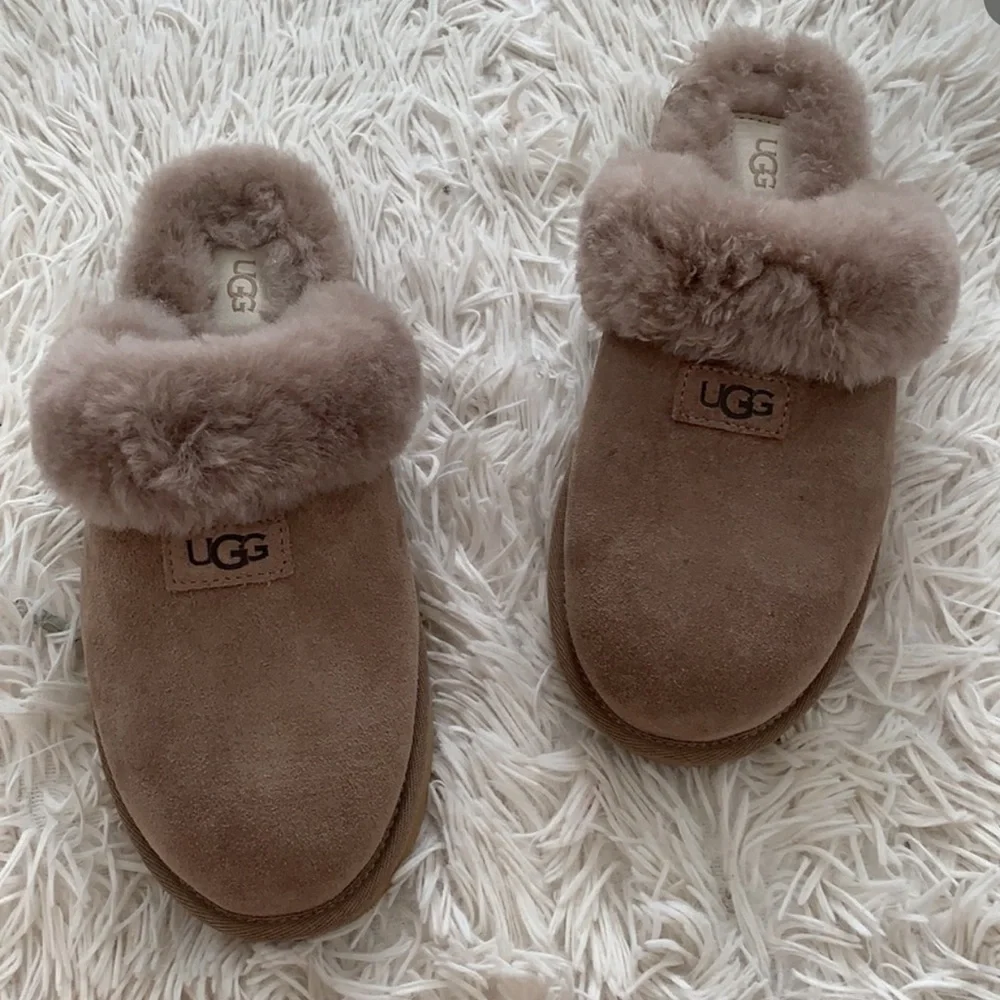 NWB UGG genuine shearling cozy suede slipper runs large - Picture 8 of 9